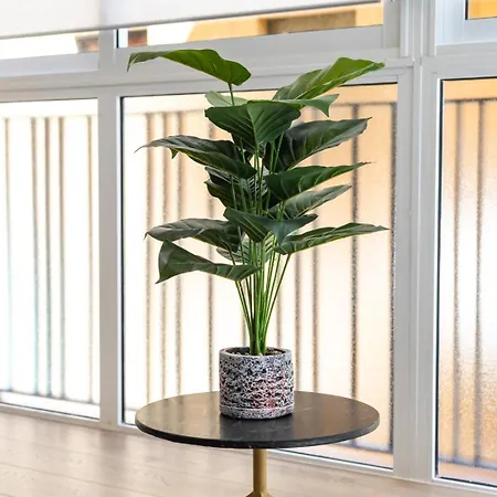 Urbannest * 발렌시아